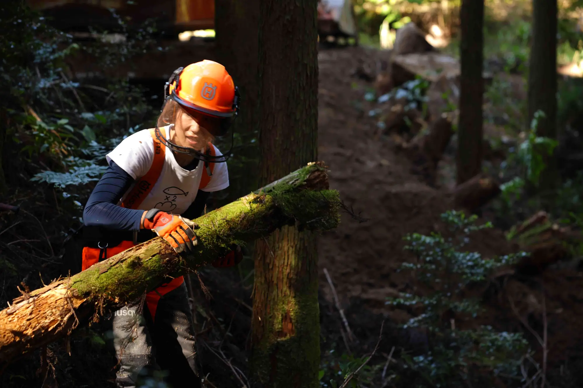 40代での異業種への転職。また、林業は女性の就業者の割合が6%（2020年時点、出典：総務省「国勢調査」）とかなり小さいが、美山さんは自分の直感に従って転職を決めた。